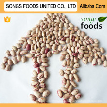 Chinese Songs Foods Light Speckled Kidney Beans In Market